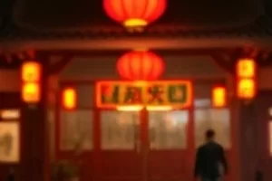 白鸟之约里候鸟掠过芦苇荡